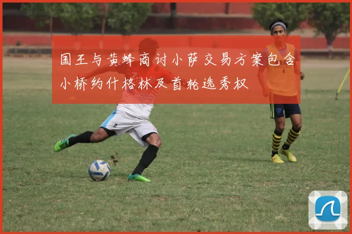 国王与黄蜂商讨小萨交易方案包含小桥约什格林及首轮选秀权